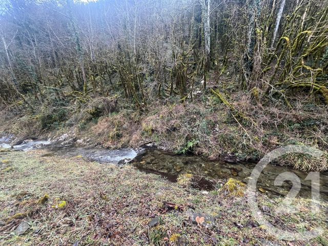 Maison &agrave; vendre - 6 pi&egrave;ces - 258,50 m2 - Arles Sur Tech - 66 - LANGUEDOC-ROUSSILLON