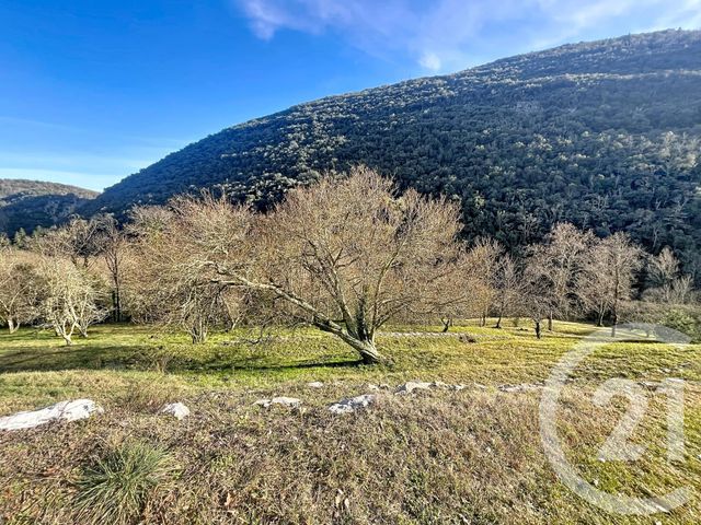 Maison &agrave; vendre - 6 pi&egrave;ces - 258,50 m2 - Arles Sur Tech - 66 - LANGUEDOC-ROUSSILLON