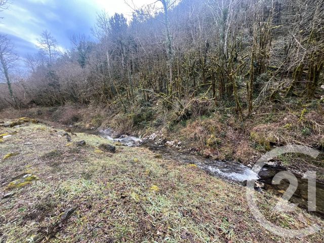 Maison &agrave; vendre - 6 pi&egrave;ces - 258,50 m2 - Arles Sur Tech - 66 - LANGUEDOC-ROUSSILLON