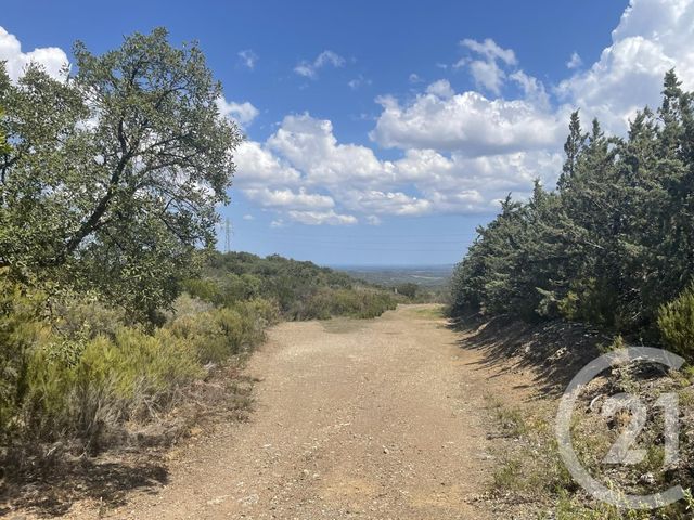 Terrain &agrave; vendre - 13479 m2 - Llauro - 66 - LANGUEDOC-ROUSSILLON