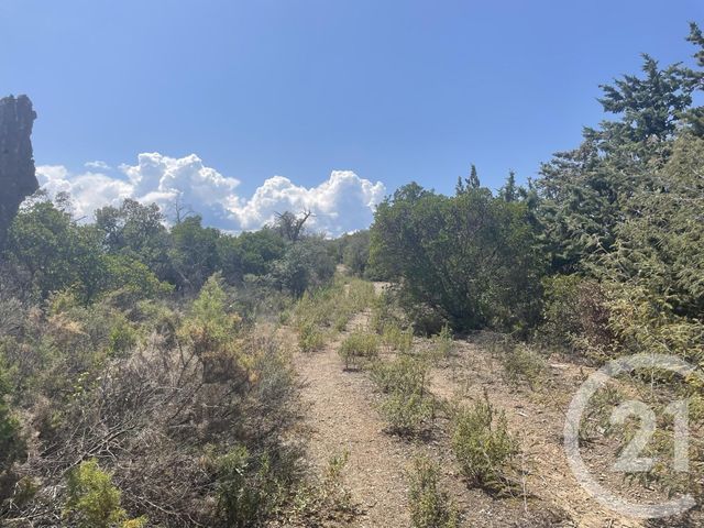 Terrain &agrave; vendre - 13479 m2 - Llauro - 66 - LANGUEDOC-ROUSSILLON