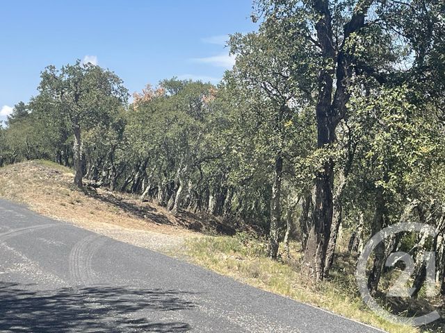 Terrain &agrave; vendre - 13479 m2 - Llauro - 66 - LANGUEDOC-ROUSSILLON