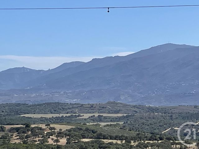Terrain &agrave; vendre - 13479 m2 - Llauro - 66 - LANGUEDOC-ROUSSILLON