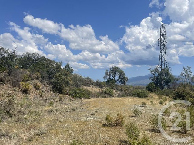 Terrain &agrave; vendre - 13479 m2 - Llauro - 66 - LANGUEDOC-ROUSSILLON
