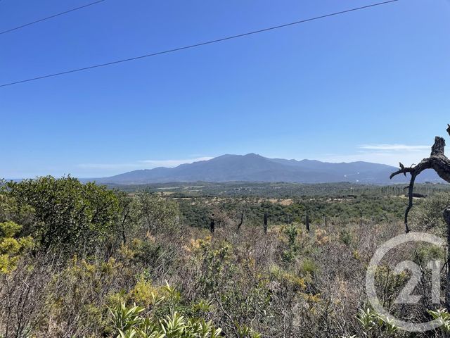 Terrain &agrave; vendre - 13479 m2 - Llauro - 66 - LANGUEDOC-ROUSSILLON