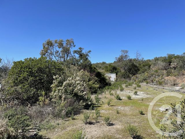 Terrain &agrave; vendre - 13479 m2 - Llauro - 66 - LANGUEDOC-ROUSSILLON