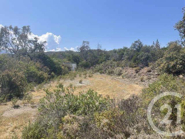 Terrain &agrave; vendre - 13479 m2 - Llauro - 66 - LANGUEDOC-ROUSSILLON