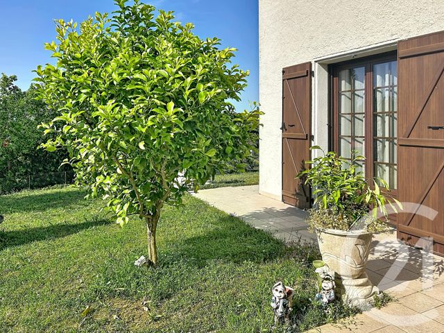 Maison &agrave; vendre - 7 pi&egrave;ces - 244,55 m2 - Ceret - 66 - LANGUEDOC-ROUSSILLON