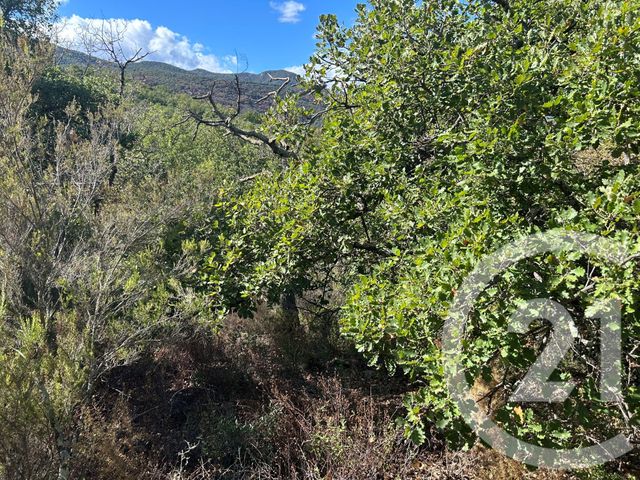 terrain - CERET - 66