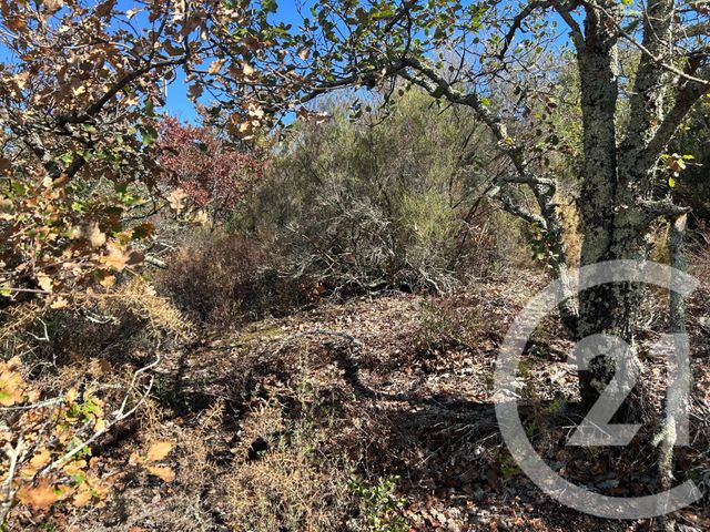 Terrain &agrave; vendre - 5496 m2 - Ceret - 66 - LANGUEDOC-ROUSSILLON