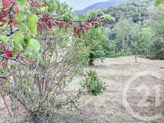 Terrain &agrave; vendre - 500 m2 - Amelie Les Bains Palalda - 66 - LANGUEDOC-ROUSSILLON