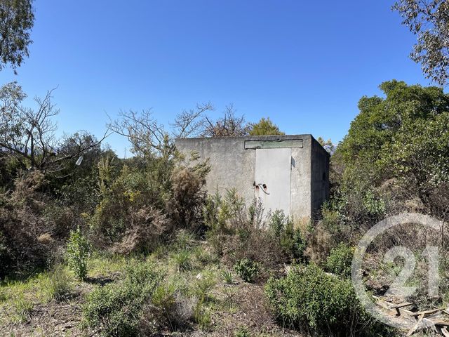 Terrain &agrave; vendre - 13479 m2 - Llauro - 66 - LANGUEDOC-ROUSSILLON