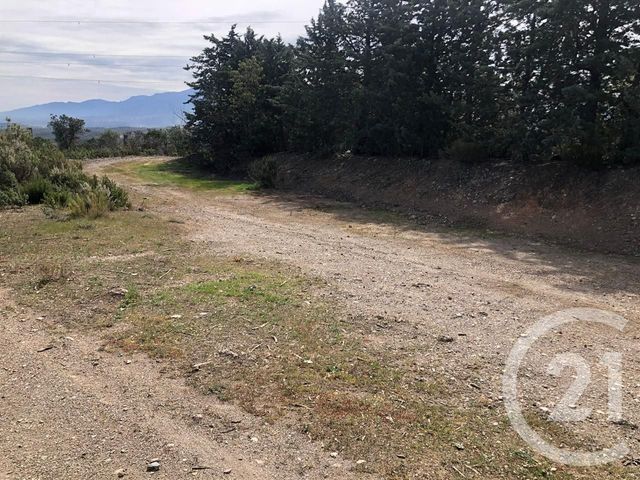 Terrain &agrave; vendre - 13479 m2 - Llauro - 66 - LANGUEDOC-ROUSSILLON