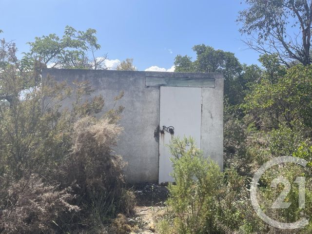 Terrain &agrave; vendre - 13479 m2 - Llauro - 66 - LANGUEDOC-ROUSSILLON
