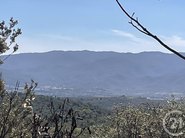 Terrain &agrave; vendre - 13479 m2 - Llauro - 66 - LANGUEDOC-ROUSSILLON
