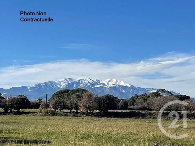 Maison à vendre - 5 pièces - 136,35 m2 - Montferrer - 66 - LANGUEDOC-ROUSSILLON