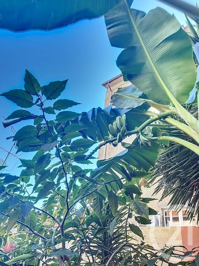 Appartement F3 à vendre - 3 pièces - 115,50 m2 - Amelie Les Bains Palalda - 66 - LANGUEDOC-ROUSSILLON