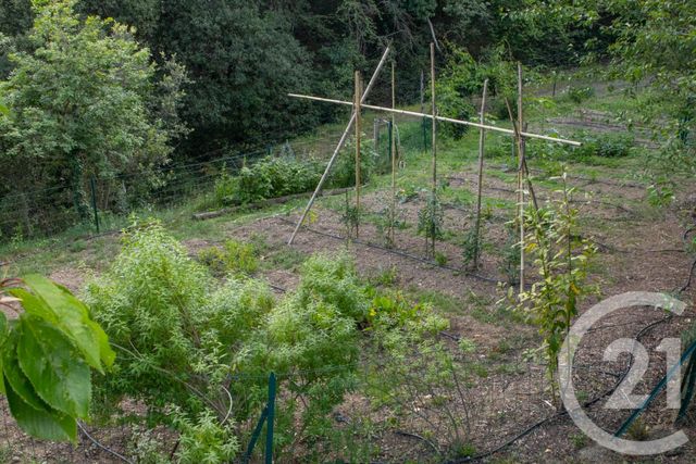 Maison à vendre - 6 pièces - 249,10 m2 - Taillet - 66 - LANGUEDOC-ROUSSILLON