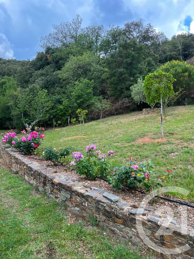 Maison à vendre - 6 pièces - 249,10 m2 - Taillet - 66 - LANGUEDOC-ROUSSILLON