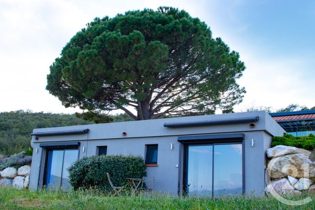 Maison à vendre - 6 pièces - 249,10 m2 - Taillet - 66 - LANGUEDOC-ROUSSILLON