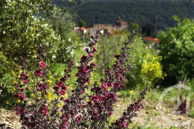 Maison à vendre - 6 pièces - 249,10 m2 - Taillet - 66 - LANGUEDOC-ROUSSILLON