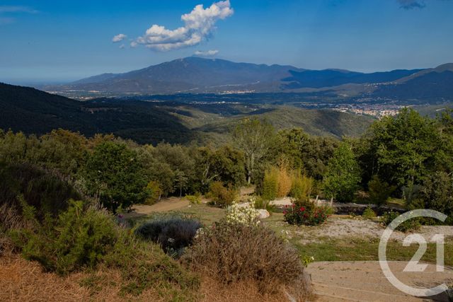 Maison à vendre - 6 pièces - 249,10 m2 - Taillet - 66 - LANGUEDOC-ROUSSILLON