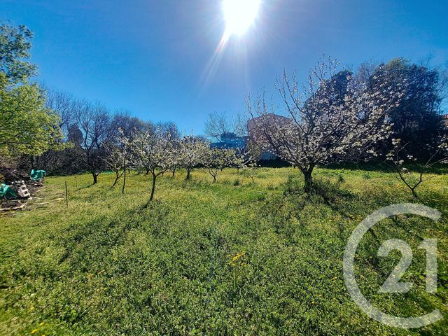 Terrain &agrave; vendre - 1027 m2 - Ceret - 66 - LANGUEDOC-ROUSSILLON