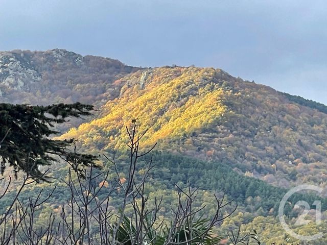 Terrain &agrave; vendre - 2332 m2 - Maureillas Las Illas - 66 - LANGUEDOC-ROUSSILLON