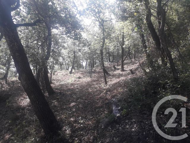 Terrain &agrave; vendre - 4700 m2 - Montesquieu Des Alberes - 66 - LANGUEDOC-ROUSSILLON