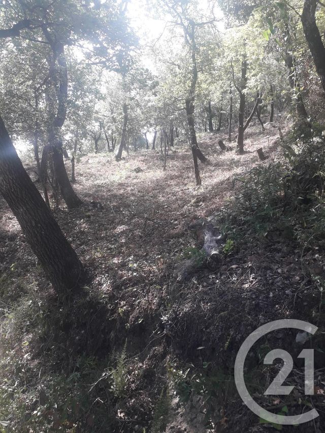 Terrain &agrave; vendre - 4700 m2 - Montesquieu Des Alberes - 66 - LANGUEDOC-ROUSSILLON