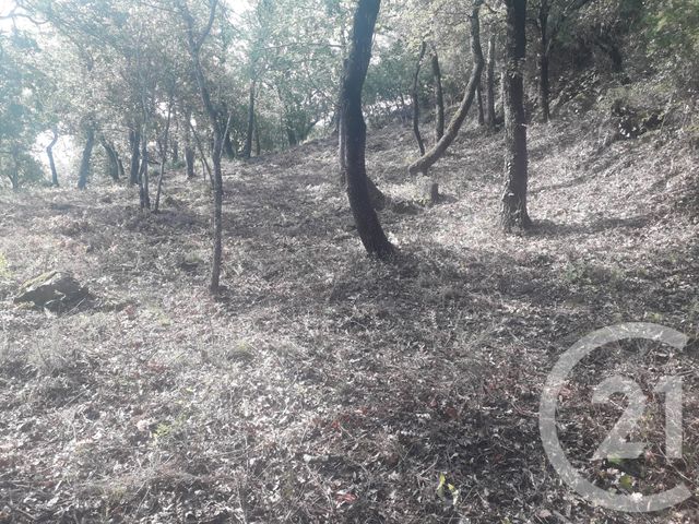 Terrain &agrave; vendre - 4700 m2 - Montesquieu Des Alberes - 66 - LANGUEDOC-ROUSSILLON