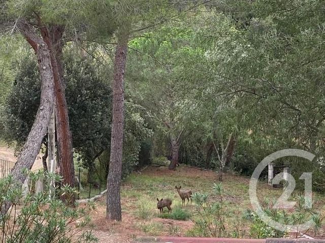 Maison à vendre - 4 pièces - 98,89 m2 - Ceret - 66 - LANGUEDOC-ROUSSILLON