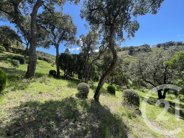 Maison à vendre - 6 pièces - 217 m2 - Le Boulou - 66 - LANGUEDOC-ROUSSILLON