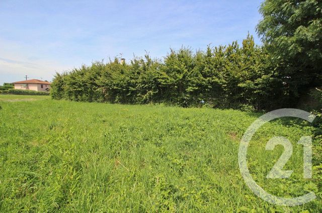 Terrain &agrave; vendre - 525 m2 - Pizay - 01 - RHONE-ALPES