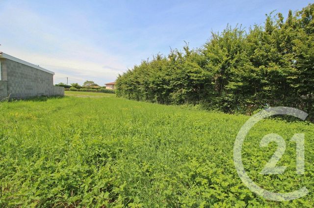 Terrain &agrave; vendre - 525 m2 - Pizay - 01 - RHONE-ALPES