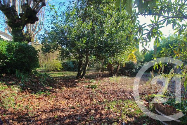 terrain - NEYRON - 01