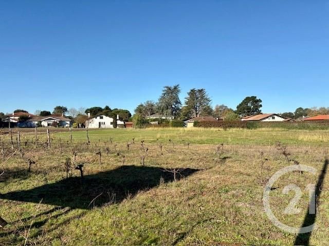 Terrain à vendre SEIGNOSSE