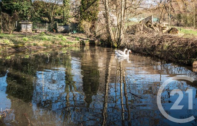 Maison &agrave; vendre - 8 pi&egrave;ces - 173,35 m2 - Obrechies - 59 - NORD-PAS-DE-CALAIS