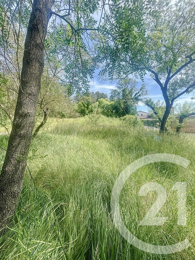 Terrain &agrave; vendre - 981 m2 - Prades Le Lez - 34 - LANGUEDOC-ROUSSILLON