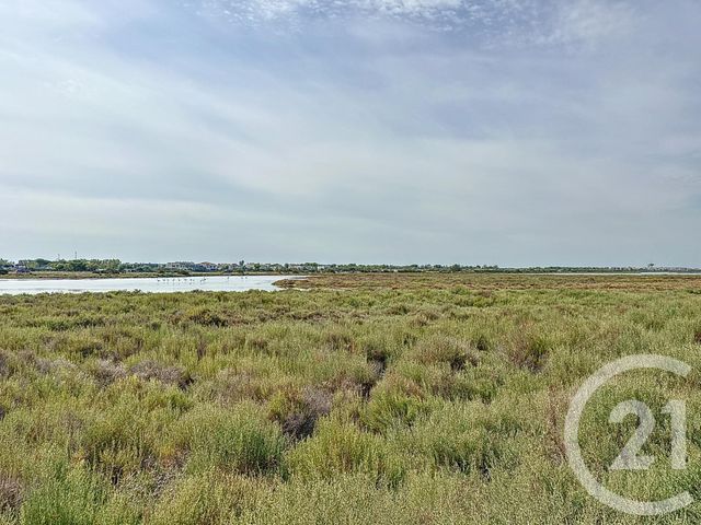 Maison &agrave; vendre - 5 pi&egrave;ces - 170 m2 - Palavas Les Flots - 34 - LANGUEDOC-ROUSSILLON