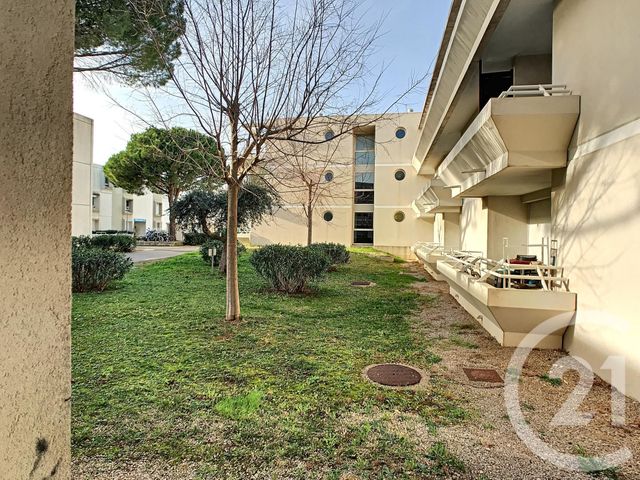 Appartement Studio &agrave; louer - 1 pi&egrave;ce - 36,76 m2 - Montpellier - 34 - LANGUEDOC-ROUSSILLON