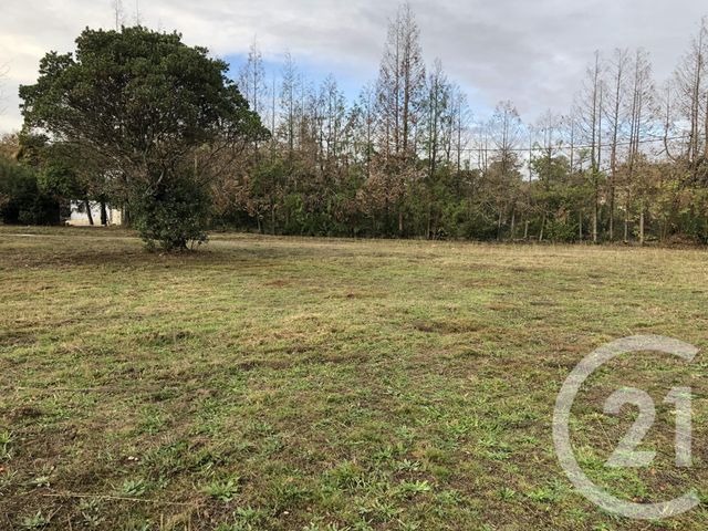 Terrain &agrave; vendre - 2309 m2 - Mazerolles - 40 - AQUITAINE