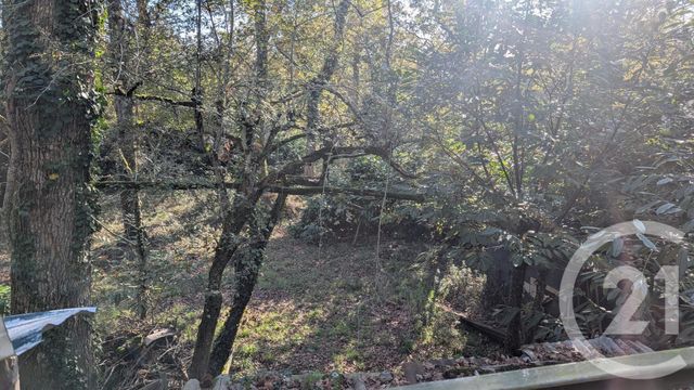 Divers &agrave; vendre - 32150 m2 - Hontanx - 40 - AQUITAINE