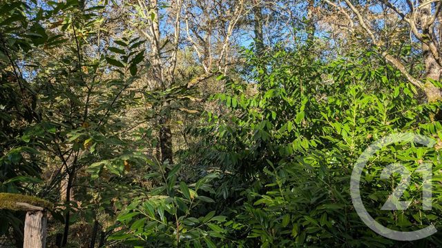 Divers &agrave; vendre - 32150 m2 - Hontanx - 40 - AQUITAINE