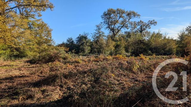 Divers &agrave; vendre - 32150 m2 - Hontanx - 40 - AQUITAINE