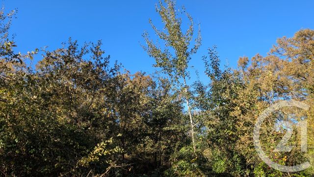 Divers &agrave; vendre - 32150 m2 - Hontanx - 40 - AQUITAINE