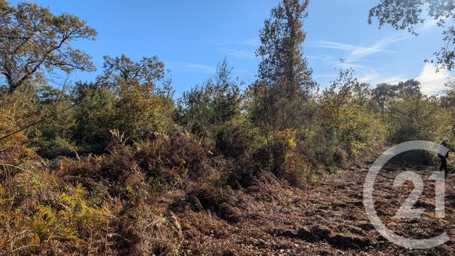 Divers &agrave; vendre - 32150 m2 - Hontanx - 40 - AQUITAINE