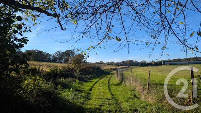 Divers &agrave; vendre - 32150 m2 - Hontanx - 40 - AQUITAINE