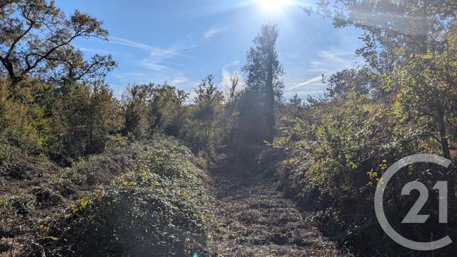 Divers &agrave; vendre - 32150 m2 - Hontanx - 40 - AQUITAINE