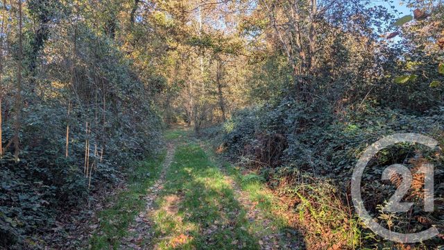 Divers &agrave; vendre - 32150 m2 - Hontanx - 40 - AQUITAINE